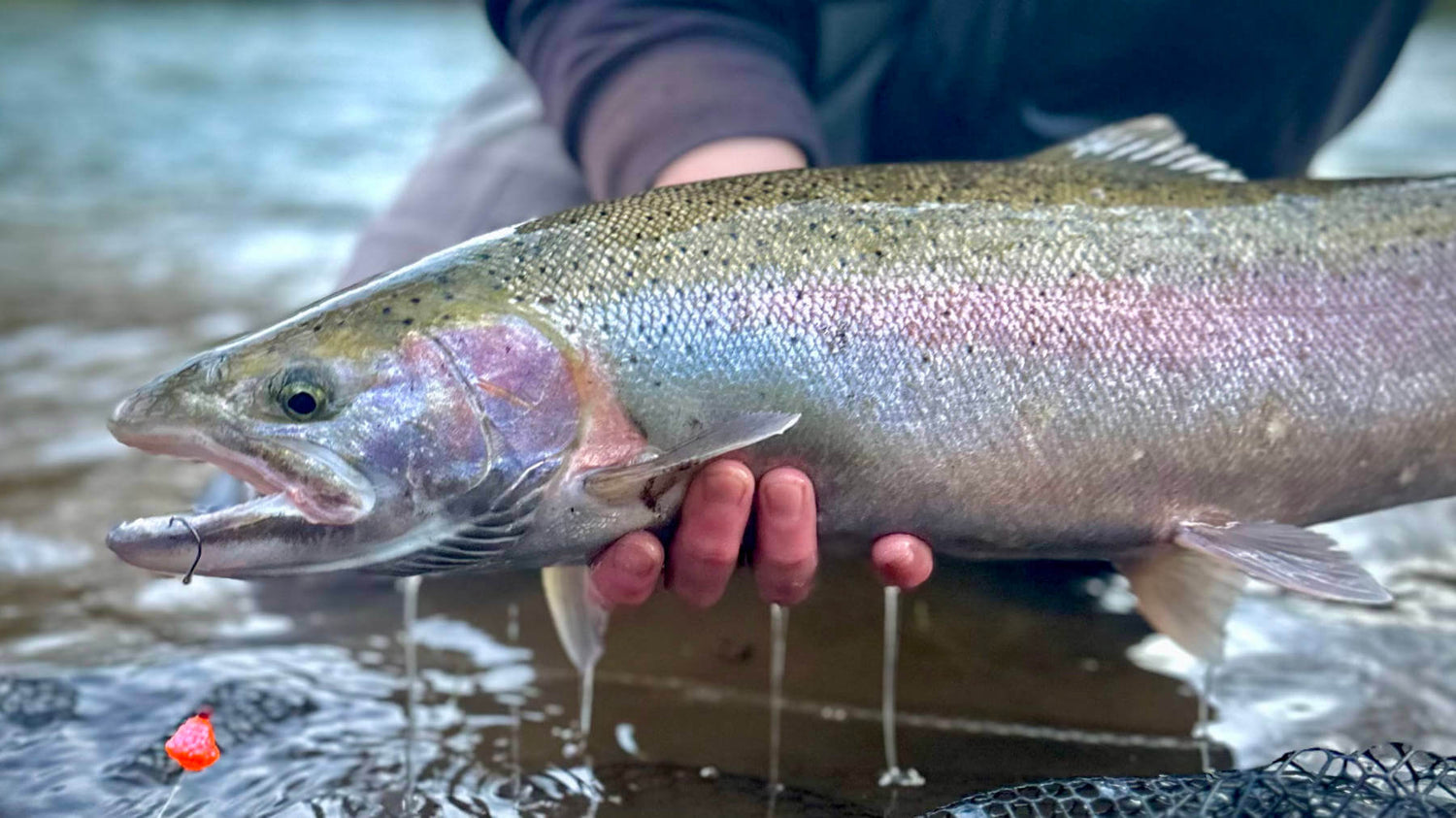 New Secret Steelhead Lure is š„