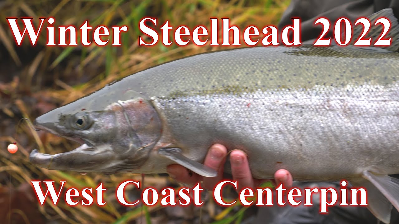Centerpin Winter Steelhead