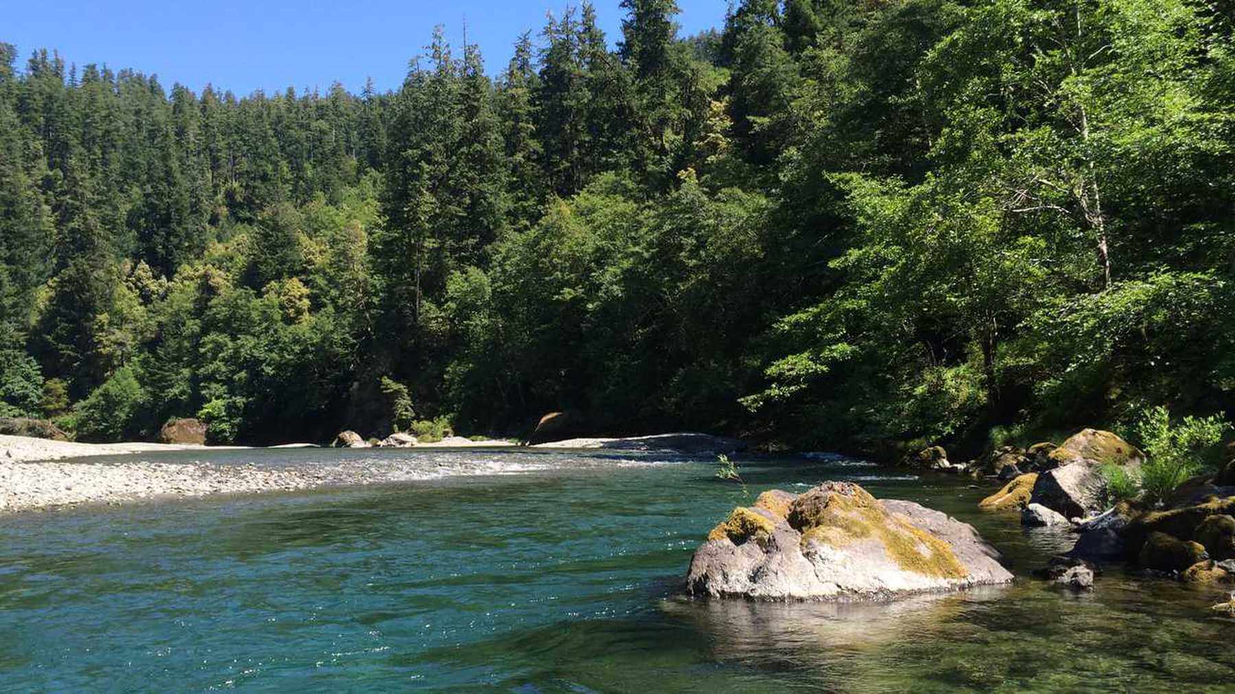 McKenzie River