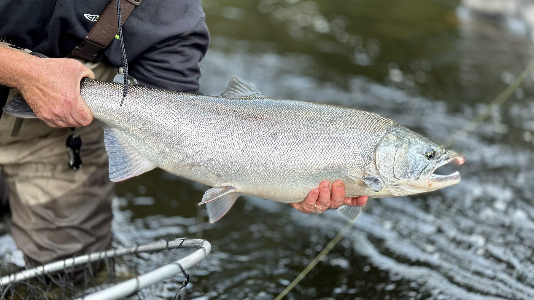 Salmon River, Fishing Supplies