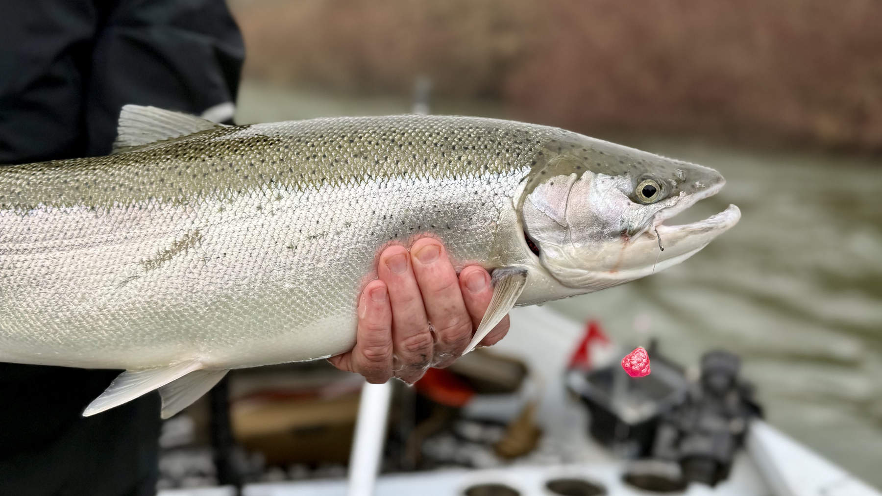 steelhead tackle