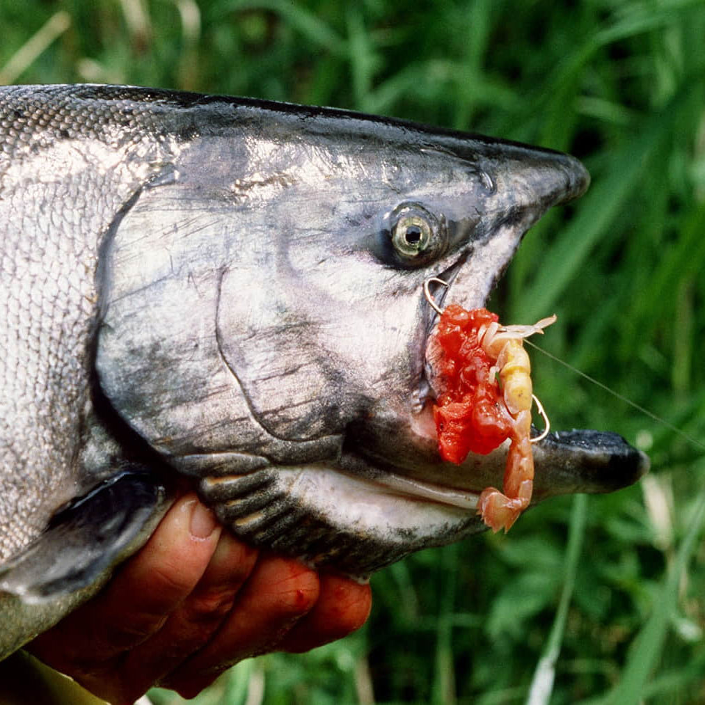 Float Fishing Kit - SM