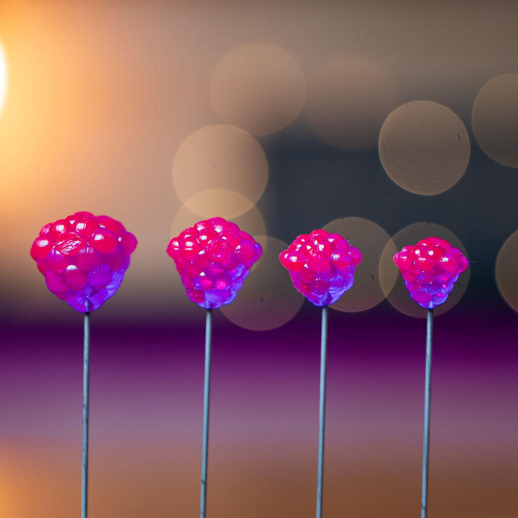 OG Egg Clusters - Transparent