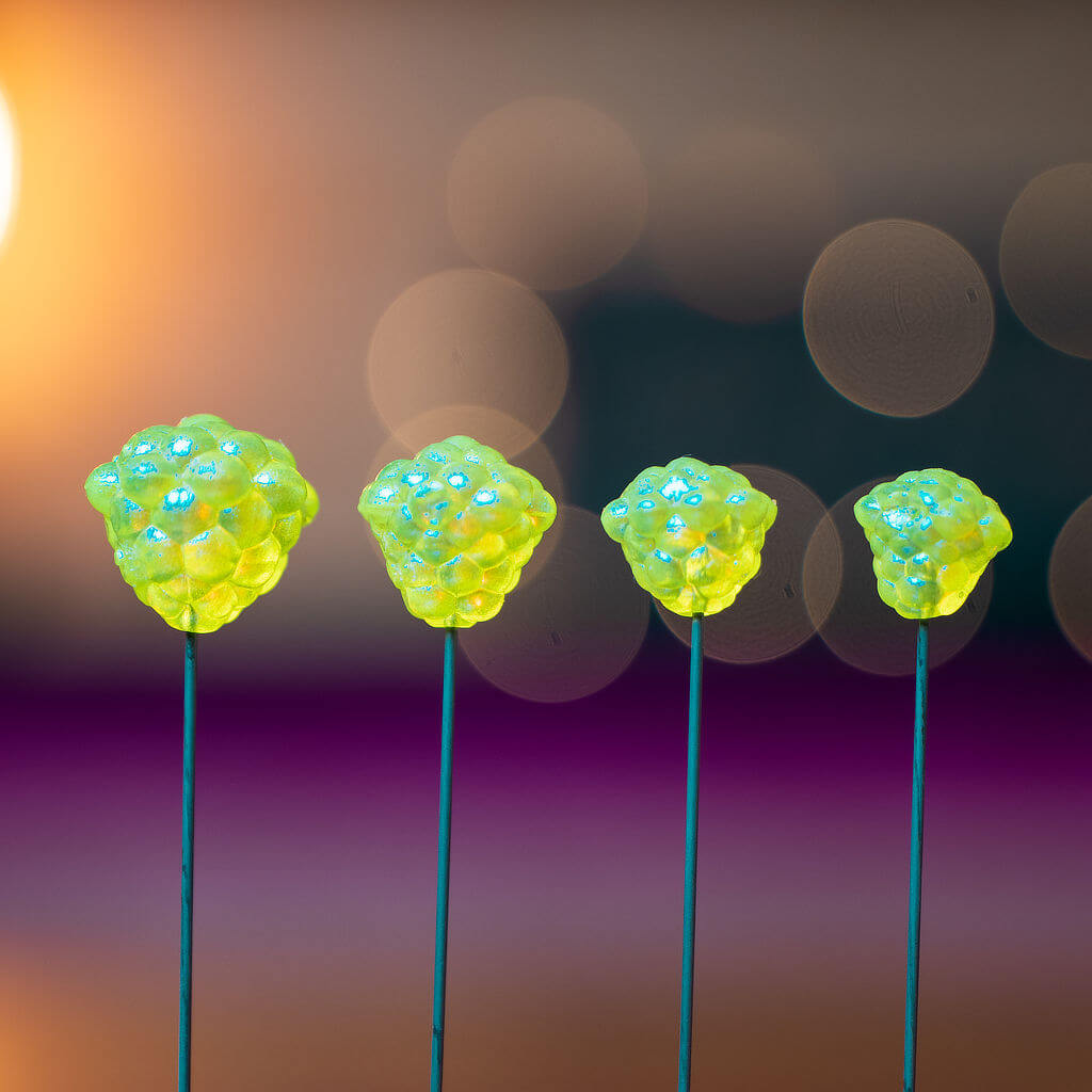 OG Egg Clusters - Hyper ICE