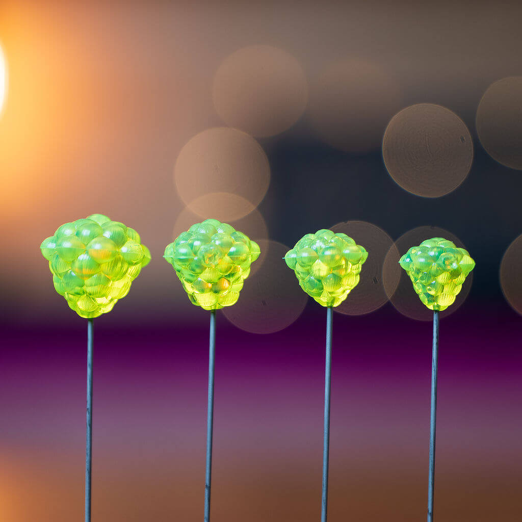 OG Egg Clusters - Transparent