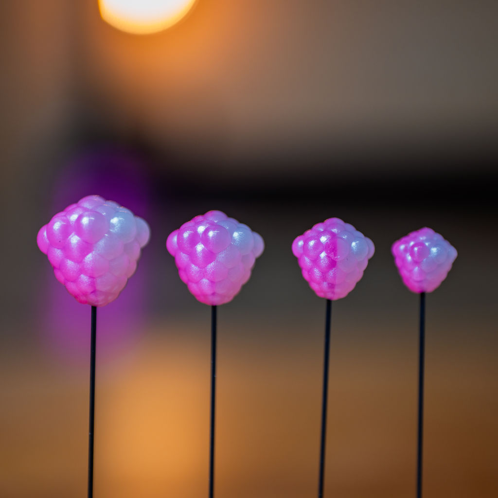 OG Egg Clusters - Pearlized