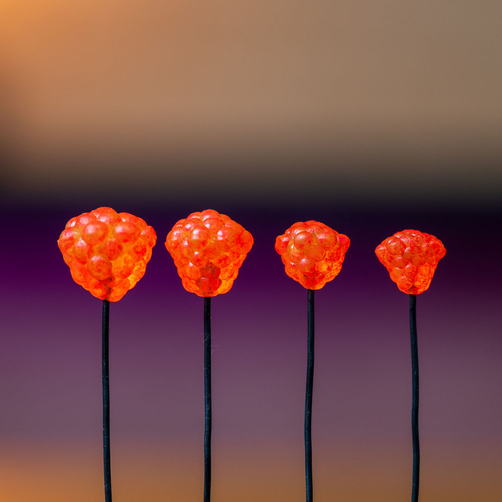 OG Egg Clusters - Glow Frost