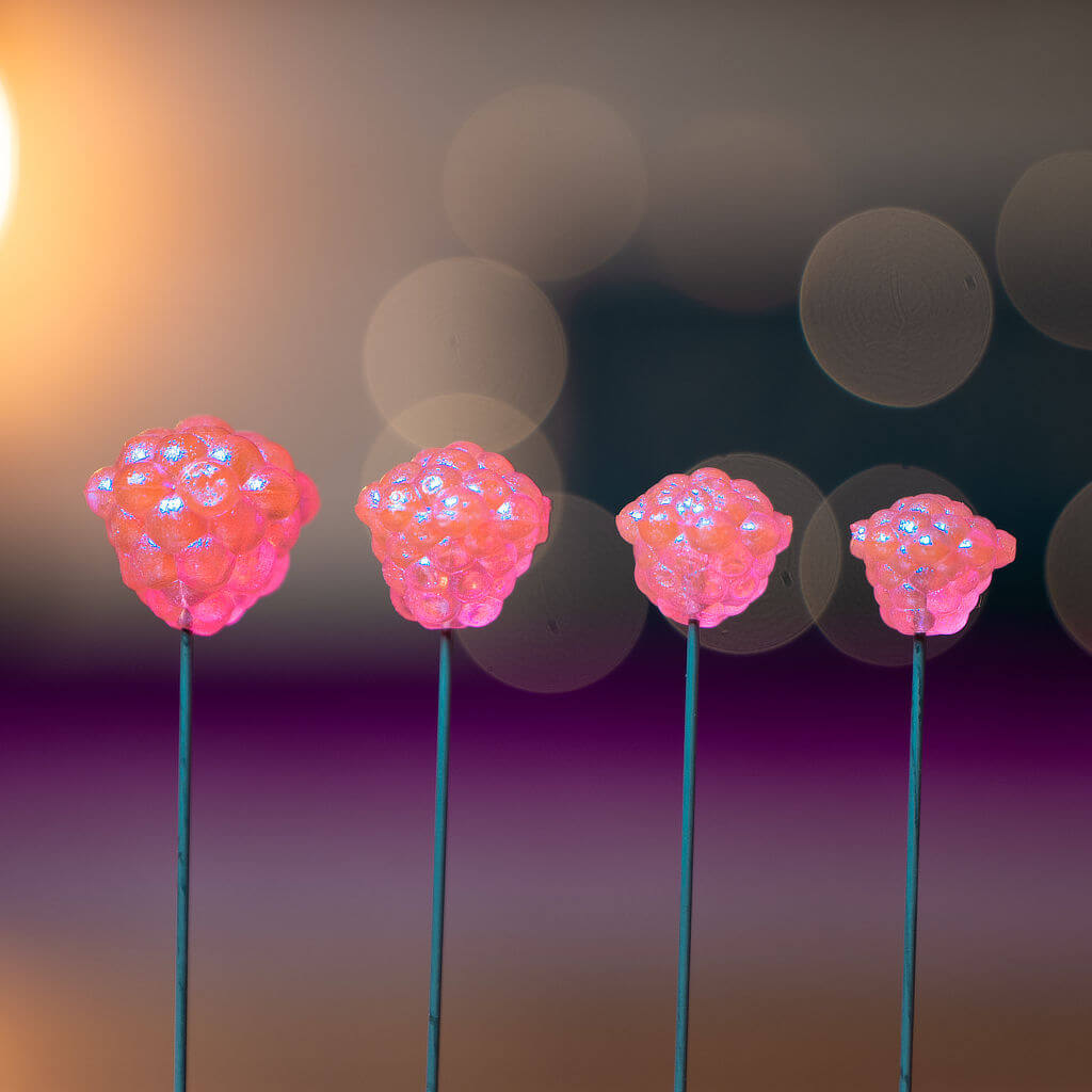 OG Egg Clusters - Hyper ICE