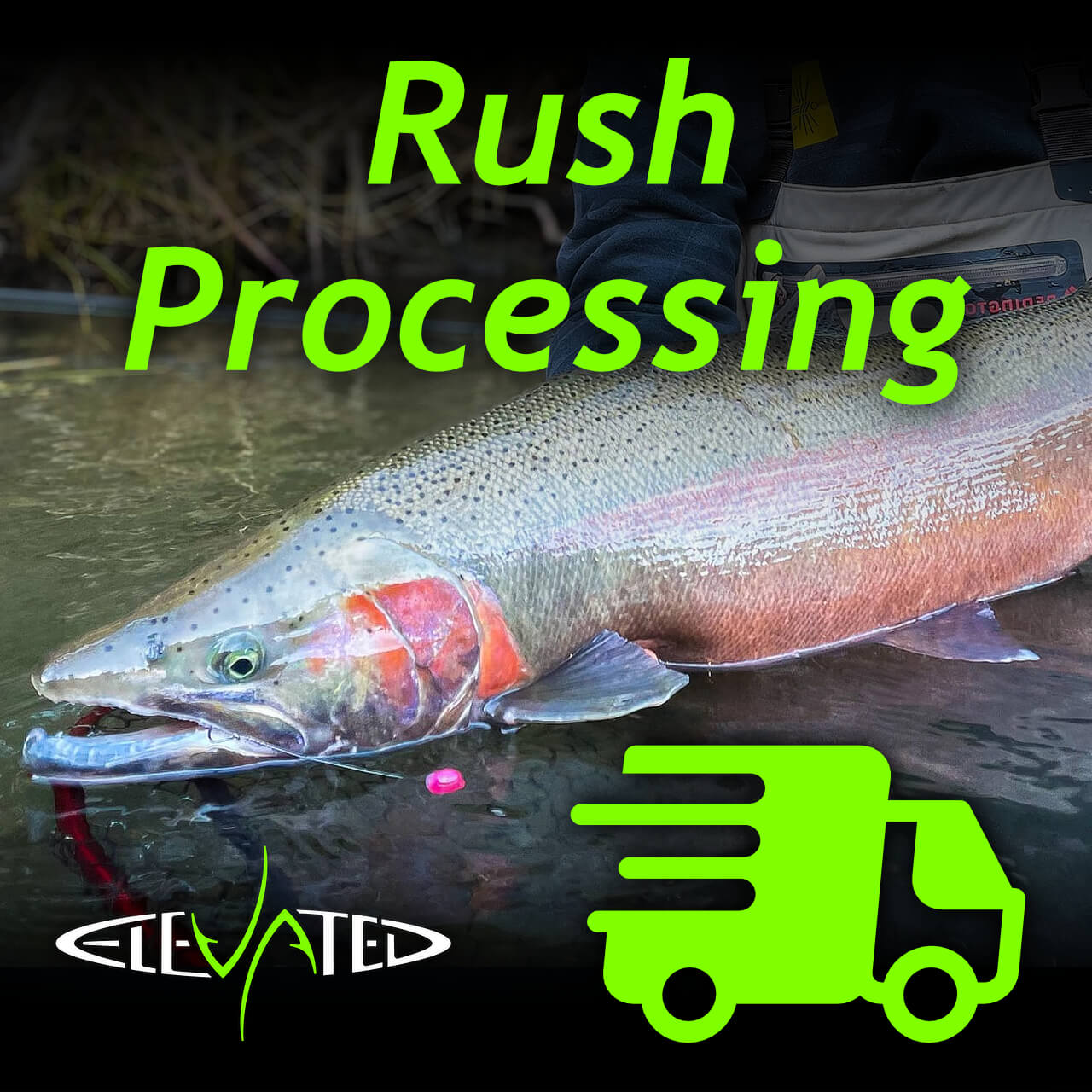 Rush Processing