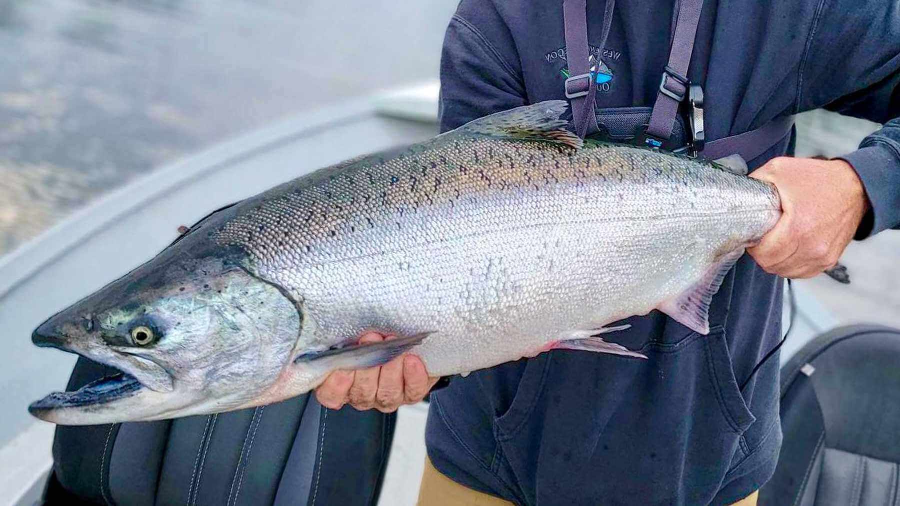  EPIC - Salmon Shirt - King Chinook Salmon Fishing