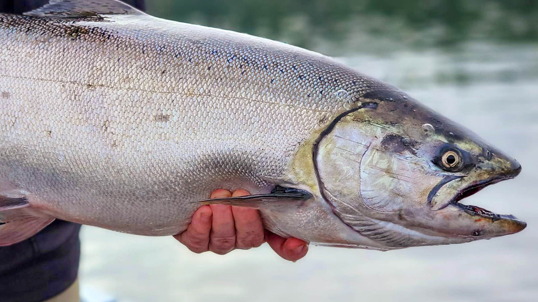 Steelhead Bead Knot "HowTo" Peg Your Soft Beads Tutorial