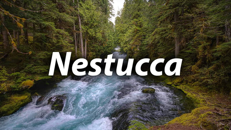 Nestucca River