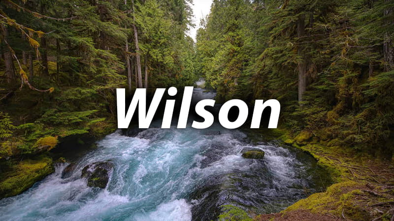 Wilson River