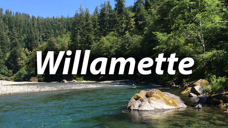Willamette River
