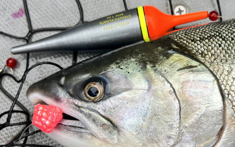 STX Steelhead Floats - Product Spotlight